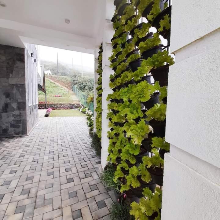 Pensive Villa Nuwara Eliya Extérieur photo